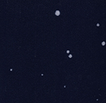 carpet-35215