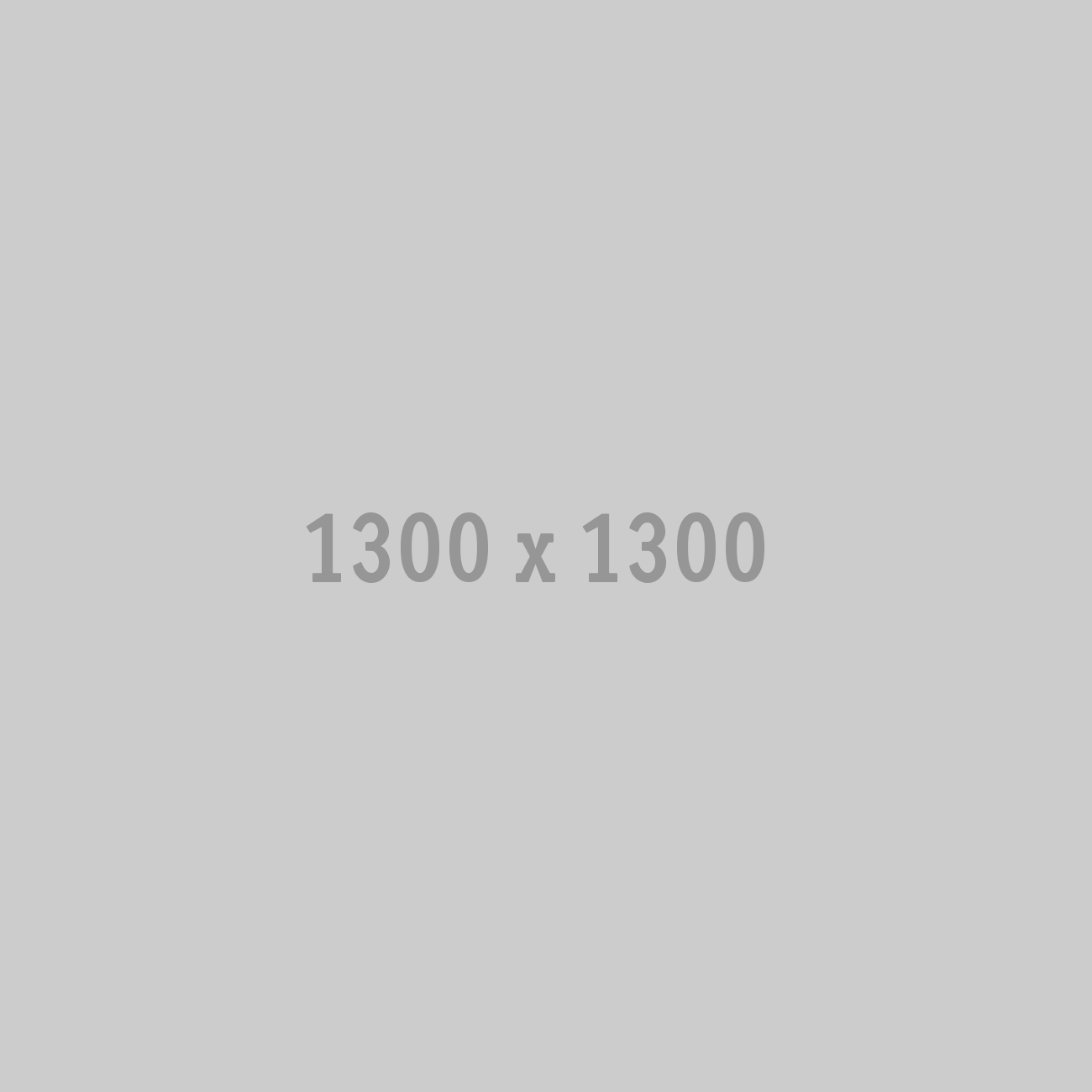1300x1300