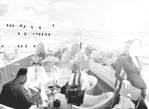 _cover