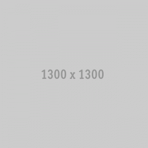 1300x1300