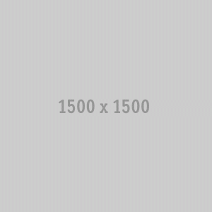 1500x1500